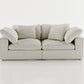 Cloud Paradise Loveseat