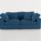 Cloud Paradise Loveseat